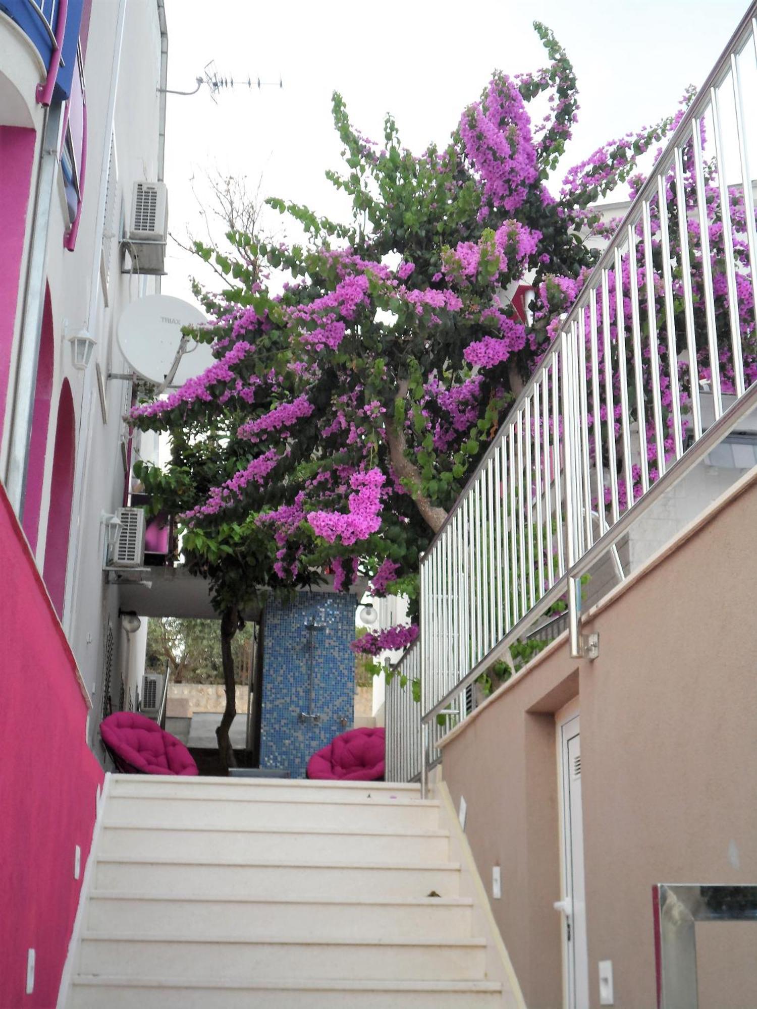 Villa Pinky And Superior Trogir Seget Vranjica Exterior foto