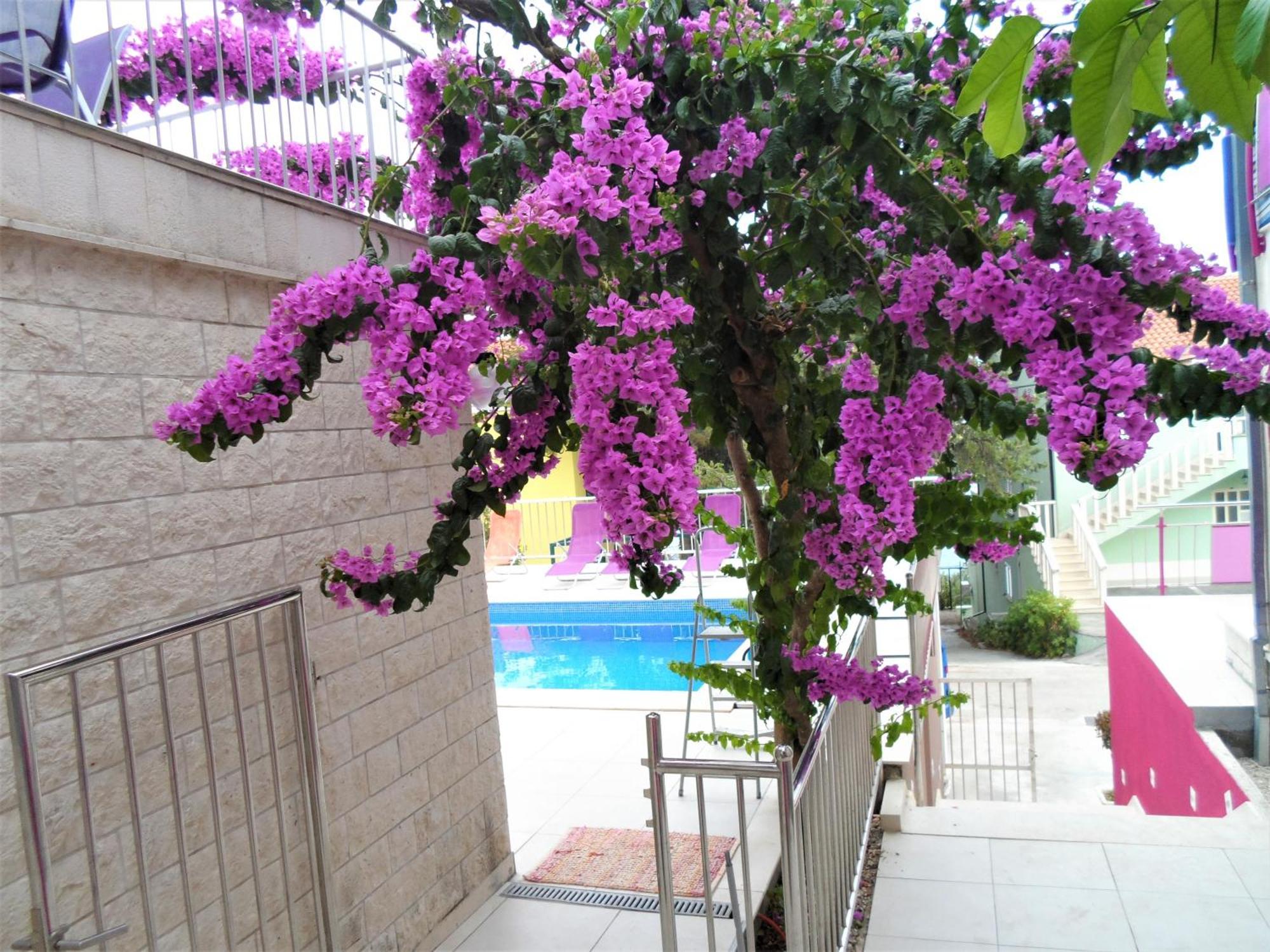 Villa Pinky And Superior Trogir Seget Vranjica Exterior foto